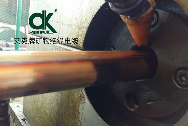 �����O��